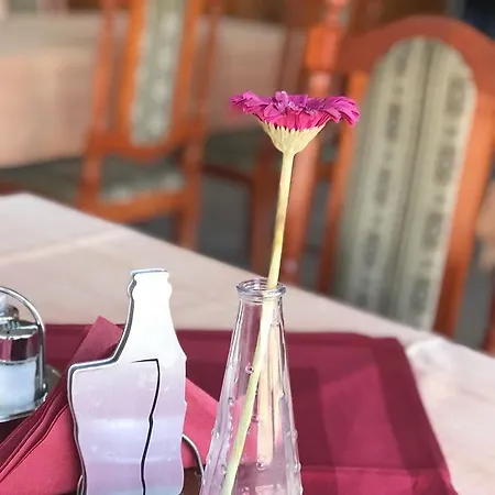 Napsugar Panzio *